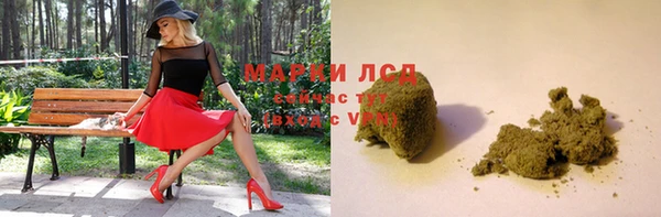 крисы Дмитровск