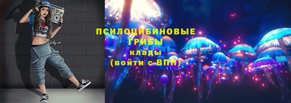 крисы Дмитровск