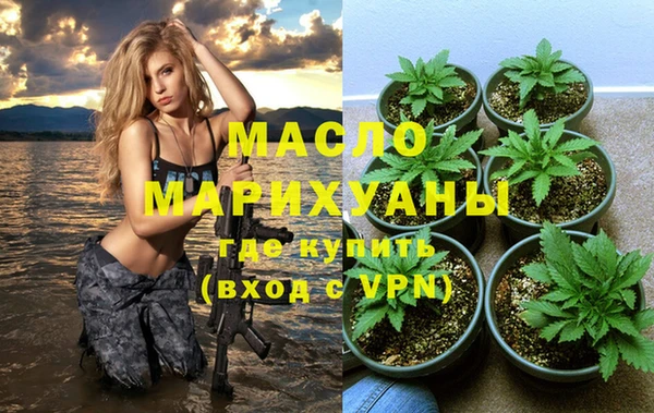 МДПВ Дмитриев