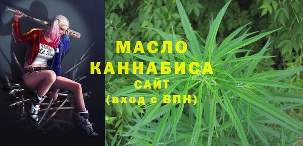 твердый Заводоуковск