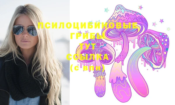 твердый Заводоуковск
