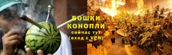 ПСИЛОЦИБИНОВЫЕ ГРИБЫ Зерноград
