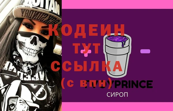 МДПВ Дмитриев