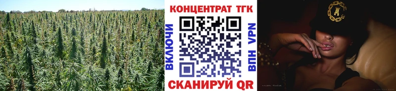Купить закладки  Мензелинск  ТГК гашишное масло 
