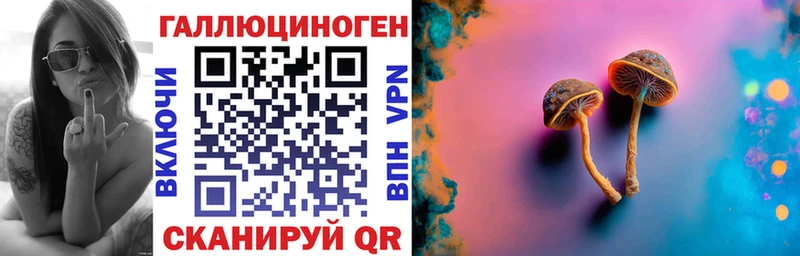 Псилоцибиновые грибы мицелий  Купить закладки  Мензелинск 